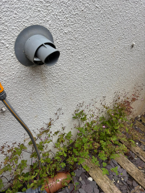 External drainage pipe outlet on rendered wall