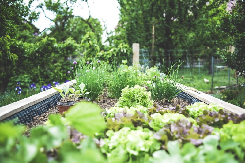 Raised Flower Beds